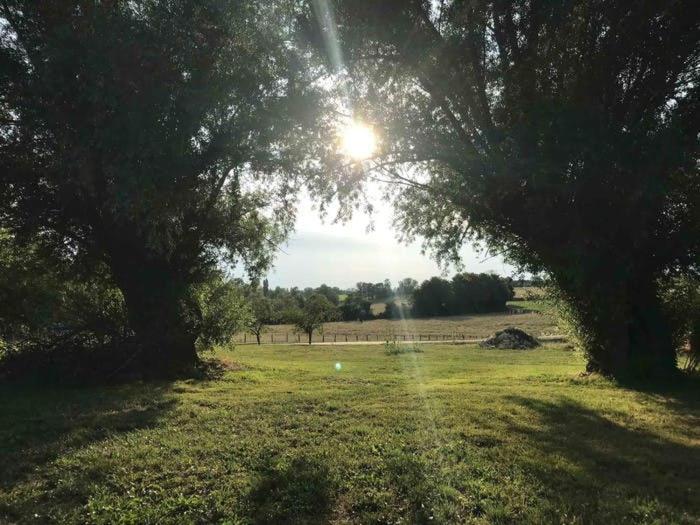 La Grange A Outeaux Bed & Breakfast Montpont-en-Bresse Eksteriør bilde